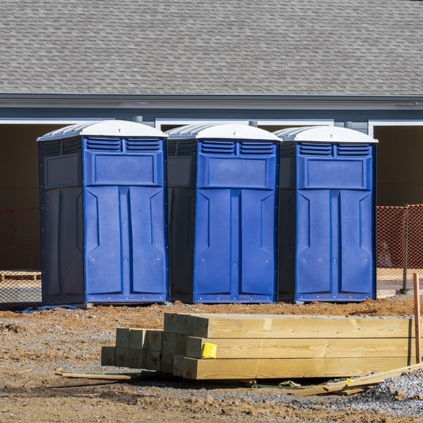 how often are the porta potties cleaned and serviced during a rental period in Honeoye NY